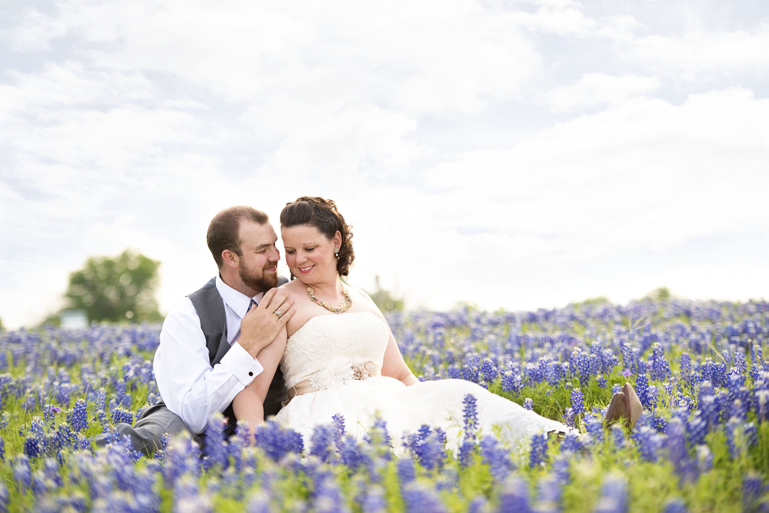 bluebonnet wedding austin