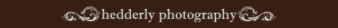 Hedderly Photography Blog logo